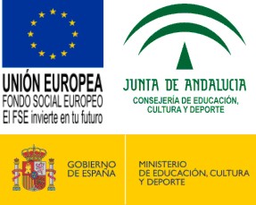 Bandera UE